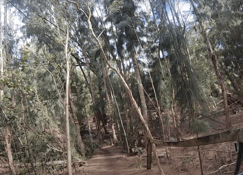 vervorming vergroting ophouden Markham Park Mountain Bike Trails - The Cyclist Review